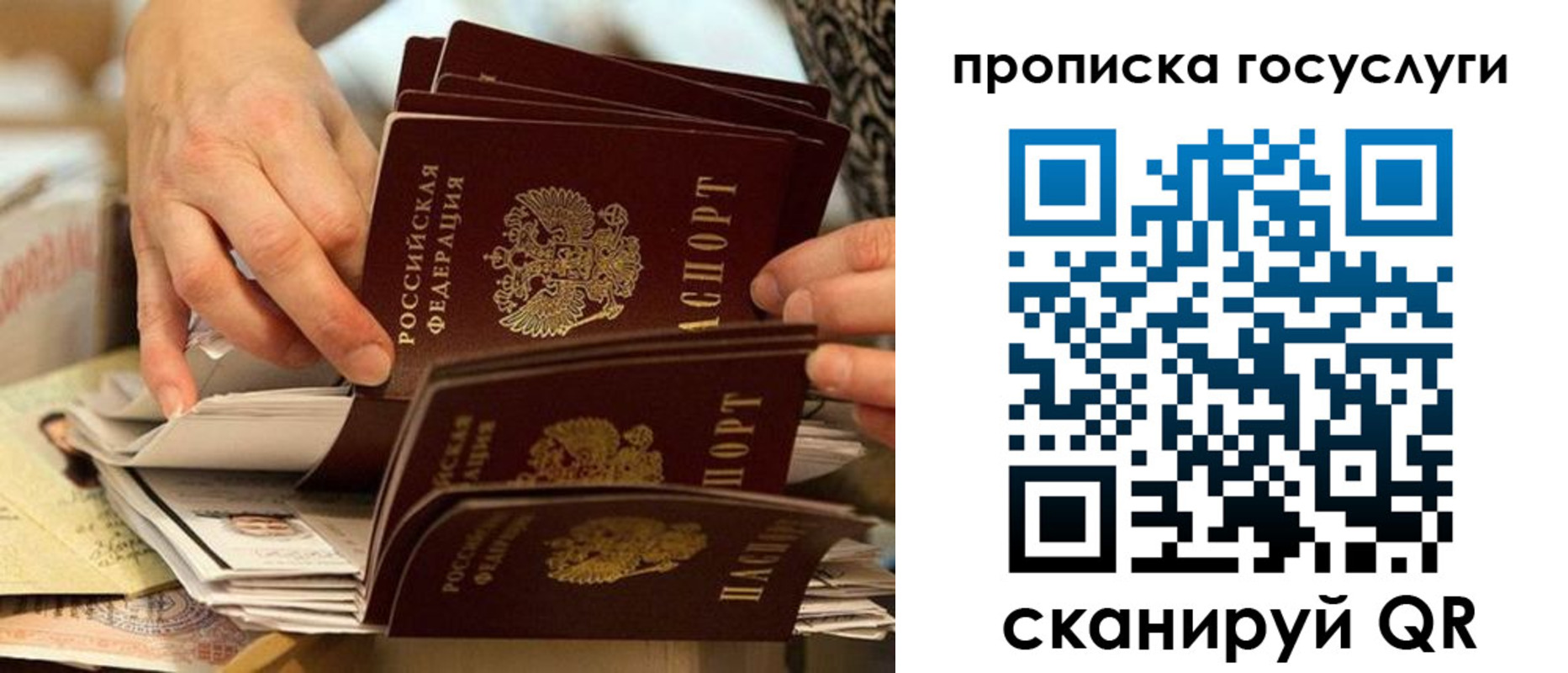 пропишу в квартире в Видном