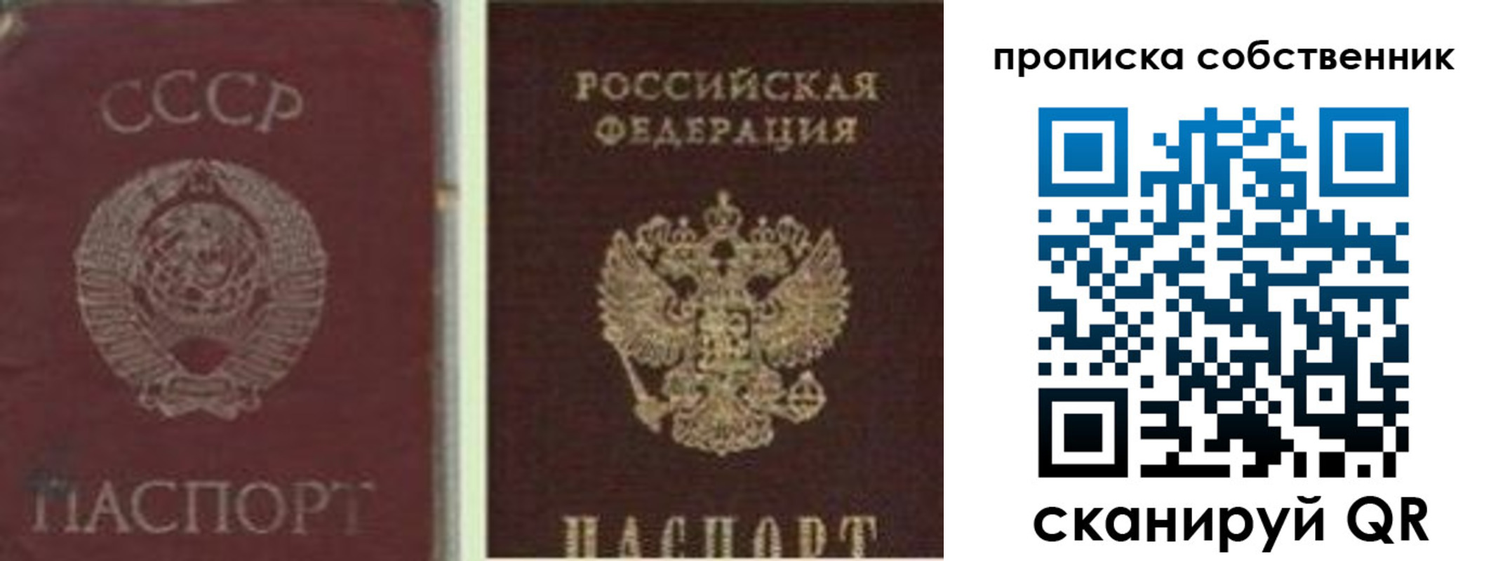 прописка 2025 в Видном